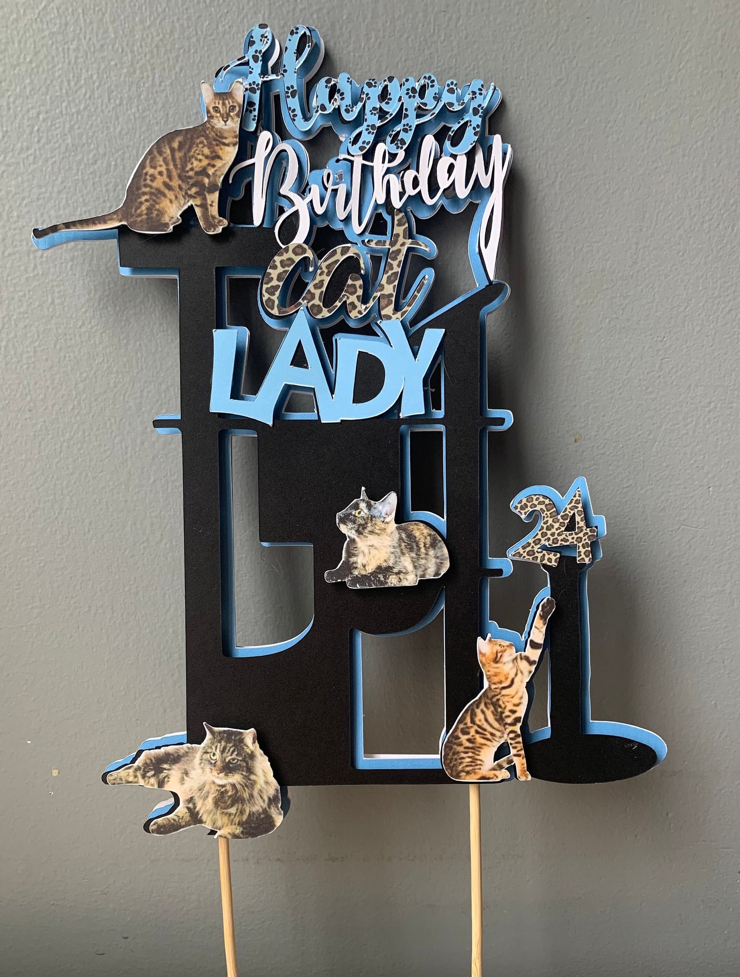 Cat Lady Birthday Cake Topper/Cat lover cake topper/Crazy cat lady